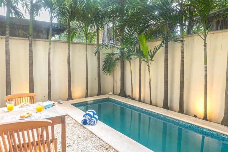 Casa Terrace image 4