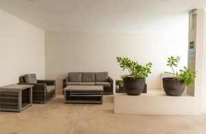Modern indoor lounge area with wicker furniture and potted plants at Mundaca Real Estate.