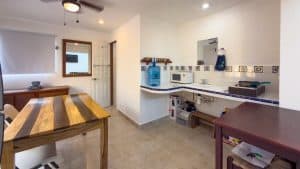 Modern kitchen with white cabinets, blue accents, and compact appliances in a bright, open-concept s. Isla Mujeres Mexico Property