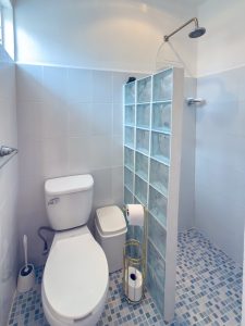 Small modern bathroom with shower, toilet, and glass block partition. Isla Mujeres Mexico Property